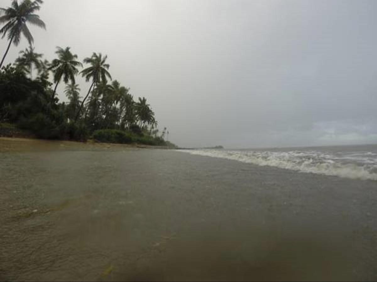 Peponi Beach Resort Pangani Экстерьер фото